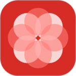 辅布司app