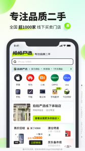 拍拍