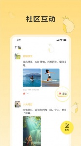 雪梨社交
                           