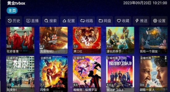 黄金影视纯净版